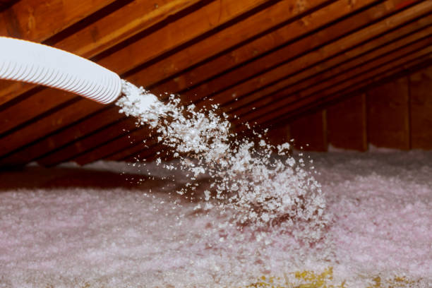 Best Types of Insulation in Fifth Ward, LA